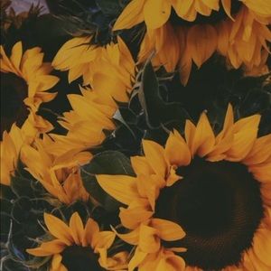 Meet your Posher, Summer